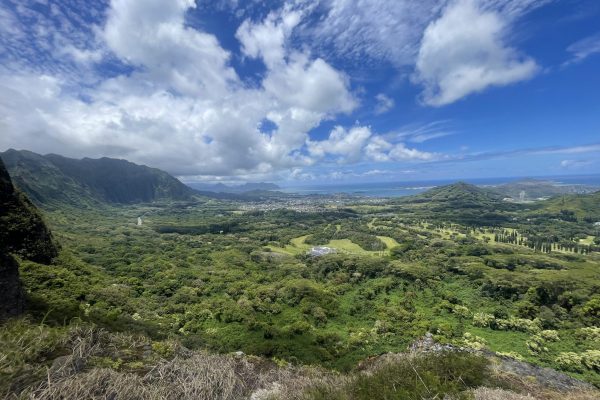 View of the policoast of Oahu