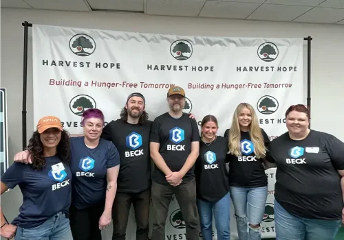 Web development team volunteering