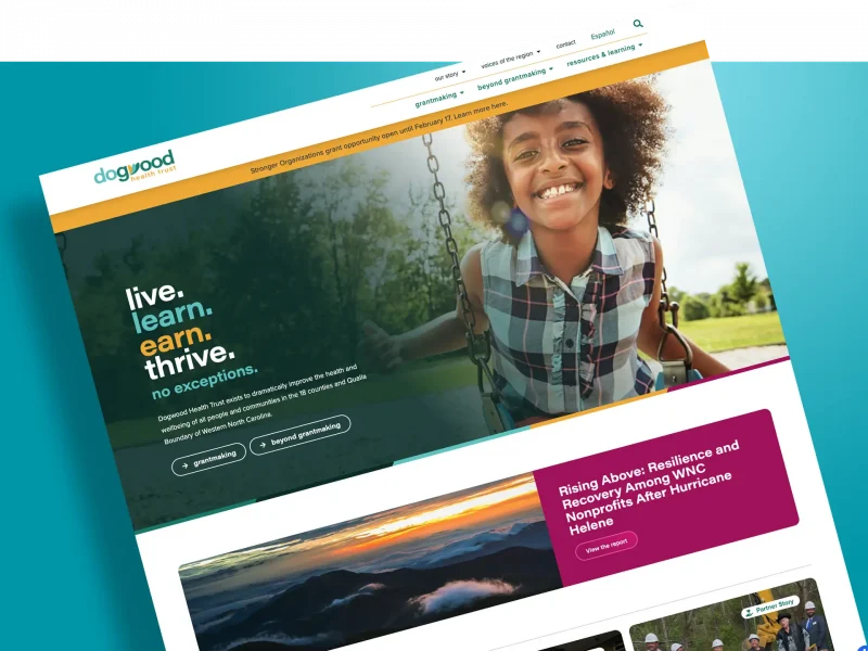 Dogwood Health Trust homepage design
