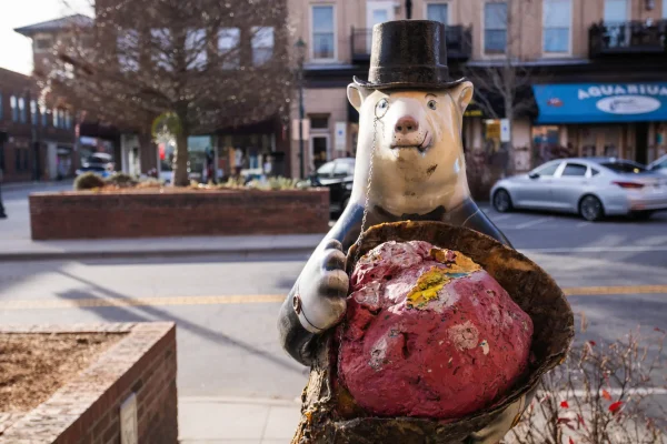A main street bear in Hendersonville NC