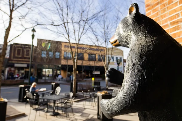 a Bear in Downtown Hendersonville NC